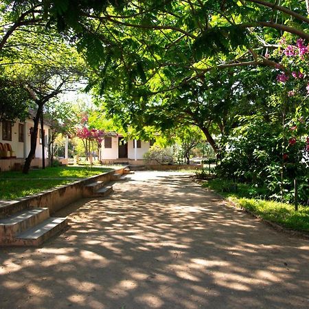 The Mountain Retreat Hotel Tiruvannamalai Ngoại thất bức ảnh