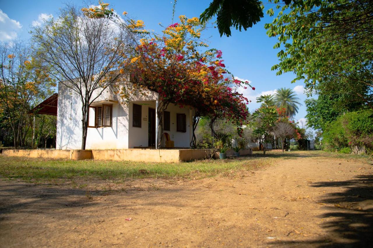 The Mountain Retreat Hotel Tiruvannamalai Ngoại thất bức ảnh